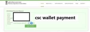 csc wallet payment