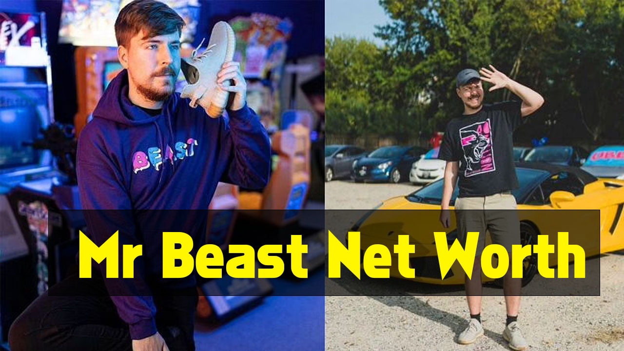 Mr. Beast Net Worth, Age, Bio, Income Source, Channel