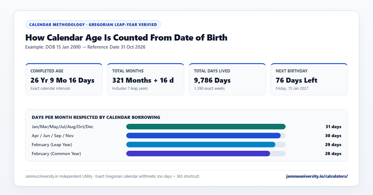 Age Calculator online chart showing exact age from date of birth in years, months and days with birthday countdowns