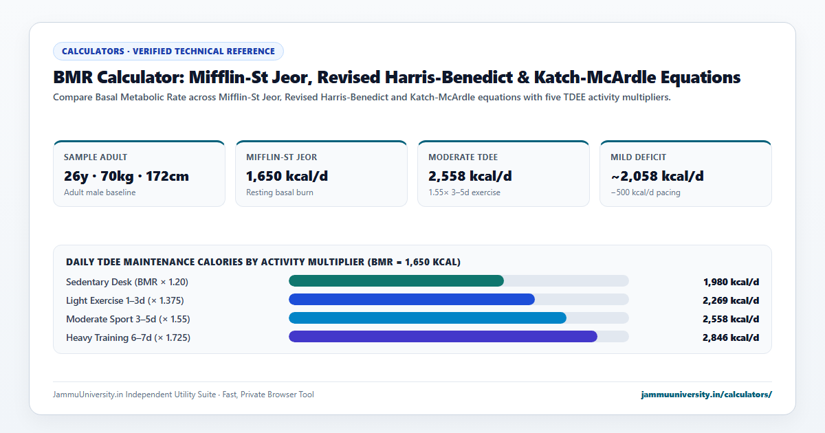 BMR Calculator infographic illustrating basal metabolic rate, TDEE calculator, daily calorie needs and maintenance calories benchmarks
