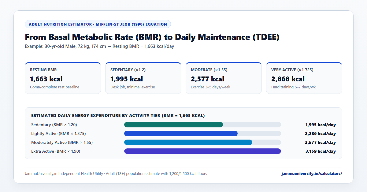 Calorie Calculator chart illustrating tdee calorie calculator multipliers, calorie calculator maintenance levels, daily calorie intake calculator and macro and calorie calculator splits