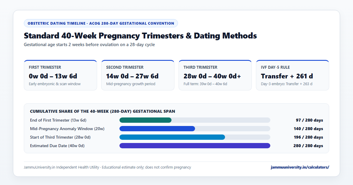 Pregnancy Calculator timeline showing pregnancy calculator due date, pregnancy calculator weeks and months, ivf pregnancy calculator and pregnancy calculator by ultrasound