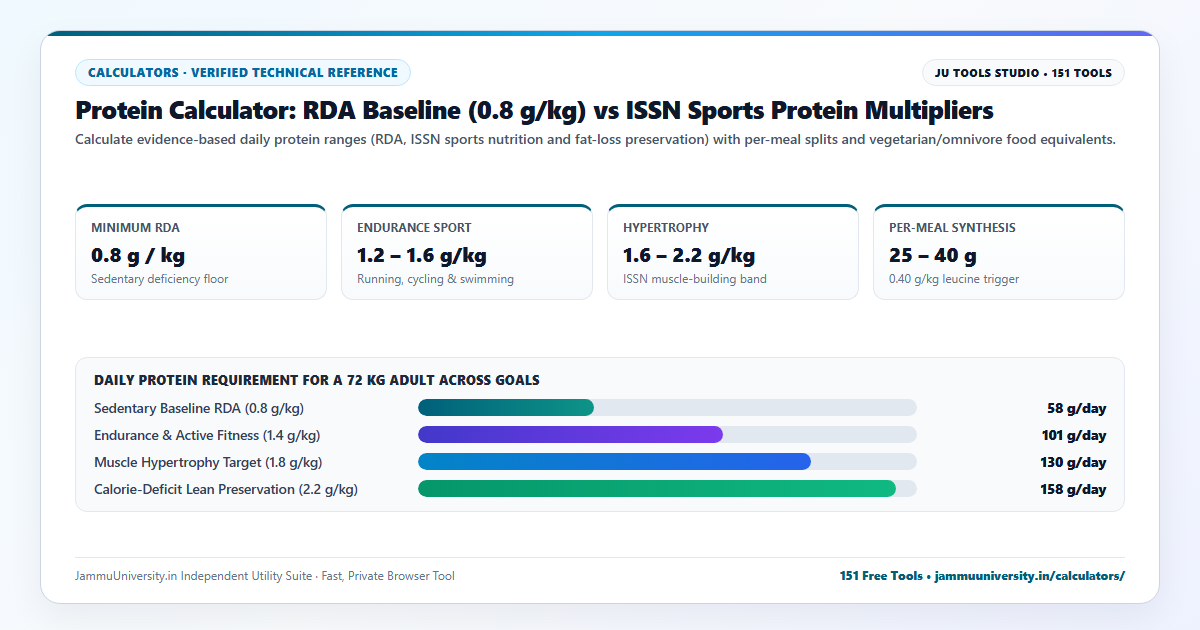 Protein Calculator infographic illustrating daily protein needs, macros calculator, protein for muscle gain and protein per kg of bodyweight benchmarks